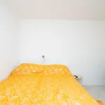 Aurelia Guest house