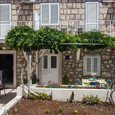 Aurelia 3*
