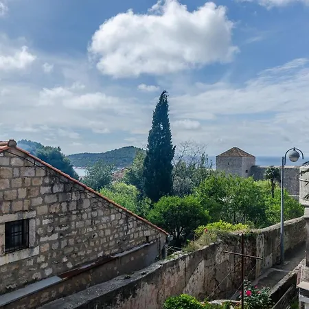 Guest house Aurelia 3*